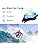 KCDMBUE Swim Goggles - 2 Pack Swimming Goggles Anti Fog No Leaking For Adult Women Men