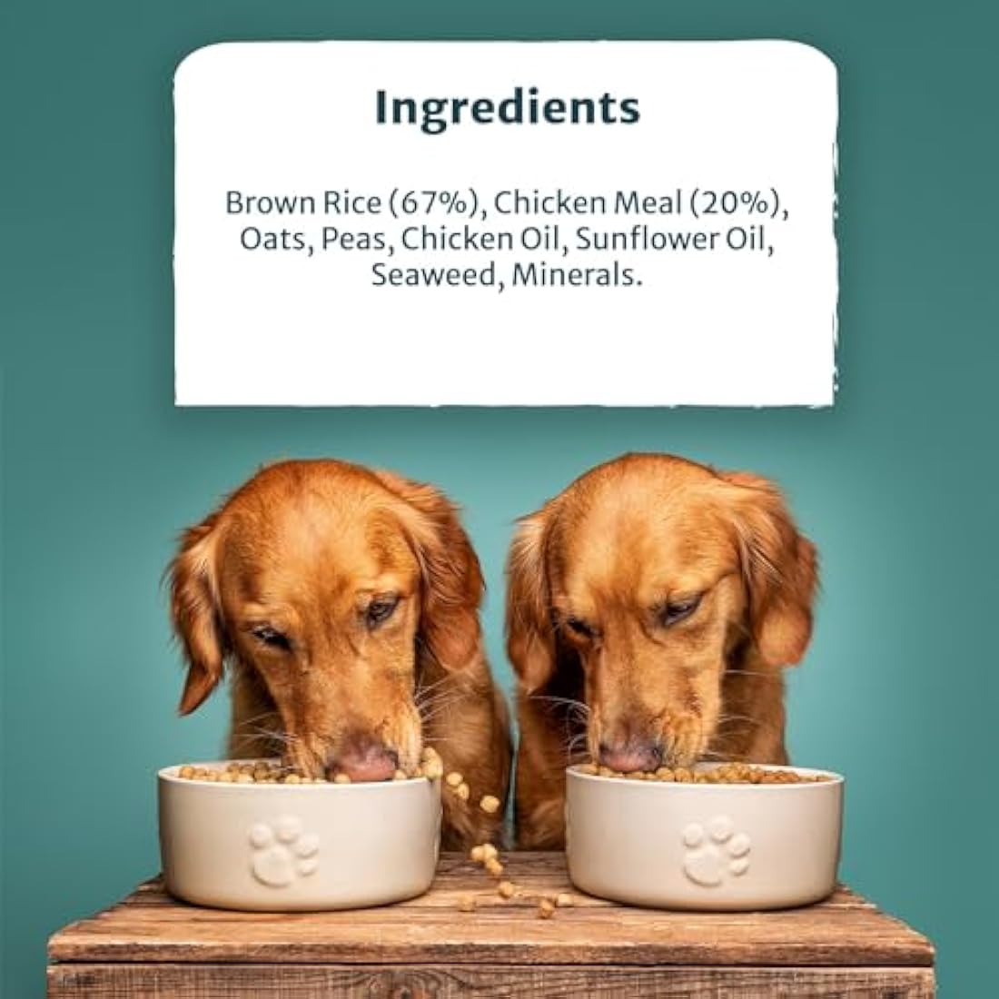 Burns Pet Nutrition Hypoallergenic Complete Dry Dog Food Adult and Senior Dog Original Chicken and Brown Rice 12 kg