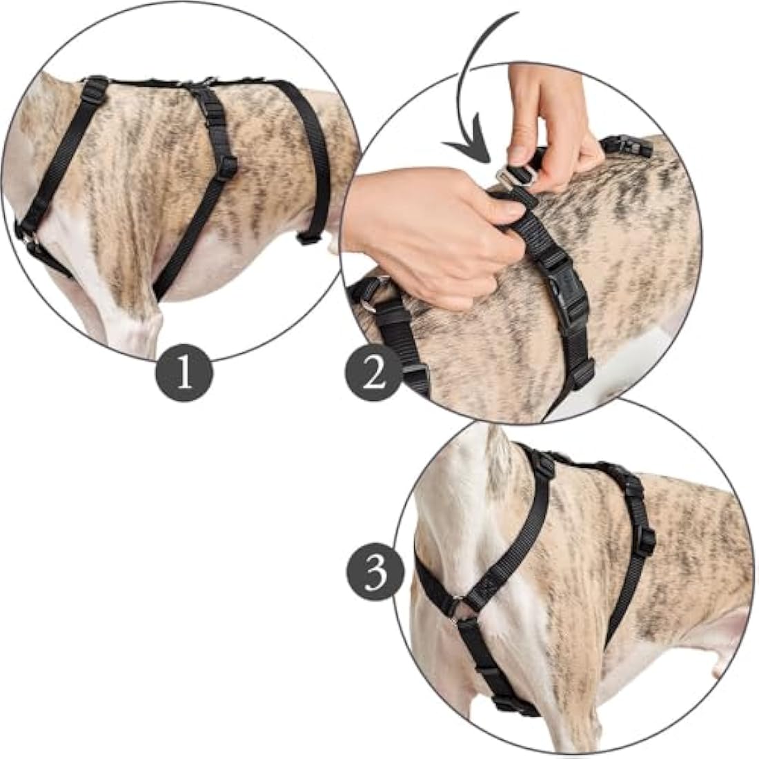 HUNTER Escape-proof harness Vario Rapid, L brown, Nylon