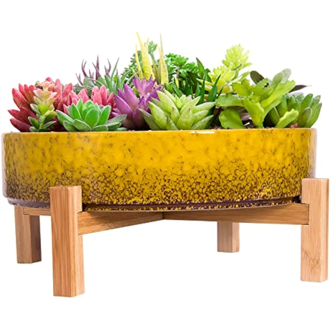 ARTKETTY Plant Pots - 29 CM Ceramic Bonsai Pot with Drainage, Large Succulent Plant Pot for Indoor Cactus Plant Garden Decorative Flower Pot with Stand