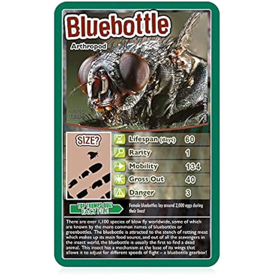 Top Trumps Bugs Classic Card Game, learn facts about the Black Widow, furry Tarantula, Praying Mantis and the Ladybird in this educational packed game, gift and toy for boys and girls aged 6 plus