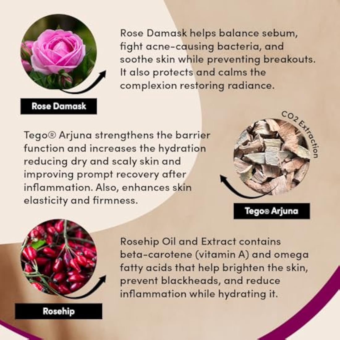 Urban Veda Reviving Night Cream | Vitamin A Retinol from Rosehip Oil & Pomegranate Extract| For Mature, Tired & Wrinkled Skin|Anti Aging | Collagen Face Cream for Women and Men | Vitamin C Glow| 50 ML