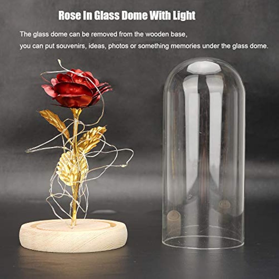 TINYOUTH 24K Red in Glass Dome, Gold Plated Light Up Rose Batteries Included Rose Gifts for Women/Her/Mum Wedding Anniversary Valentines Birthday Xmas