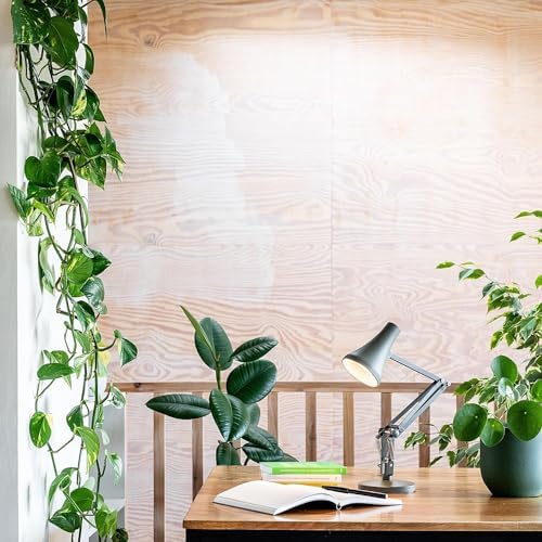 ANGLEPOISE 90 Mini Mini Desk Lamp, Kelp Green, LED Low Energy Dimming Bulb, USB Power Cable, Aluminium Shade and Arms, Satin Painted Finish, Chrome Plated Fittings, Ideal for Small Spaces