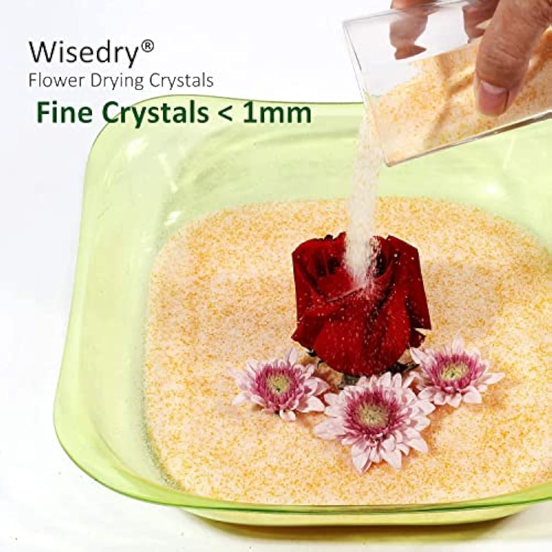 wisedry 10 LBS Silica Gel Flower Drying Crystals, 2 Packs of 5 LBS, Color Indicating, Reusable