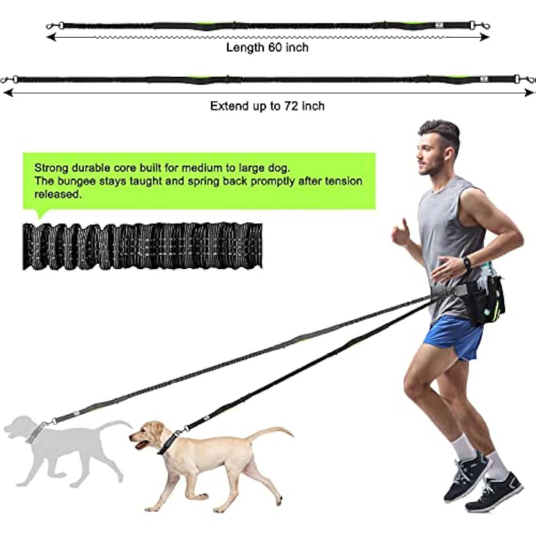 SHINE HAI Retractable Hands Free Dog Leash with Dual Bungees for 2 Dogs, Adjustable Waist Belt, Reflective Stitching Leash for Running Walking Hiking Jogging Biking Black - Green
