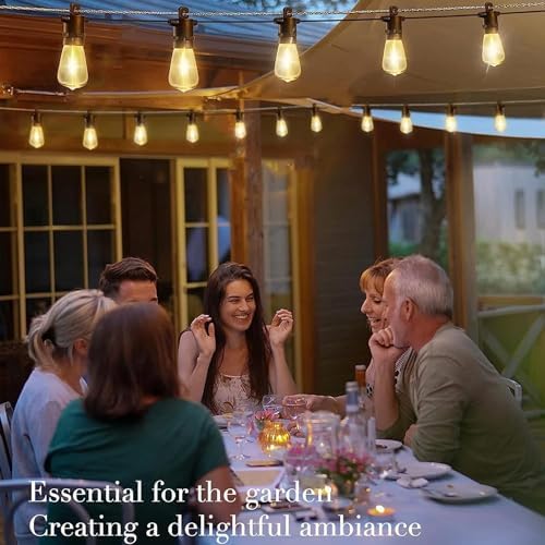 Festoon Lights Outdoor 30M/100 FT Garden String Festoon Lights IP65 with 32 LED 2700K Bulbs Outdoor String Lights Mains for Indoor Outside Patio Pergola Decor, 4M Extension Cable Built-in