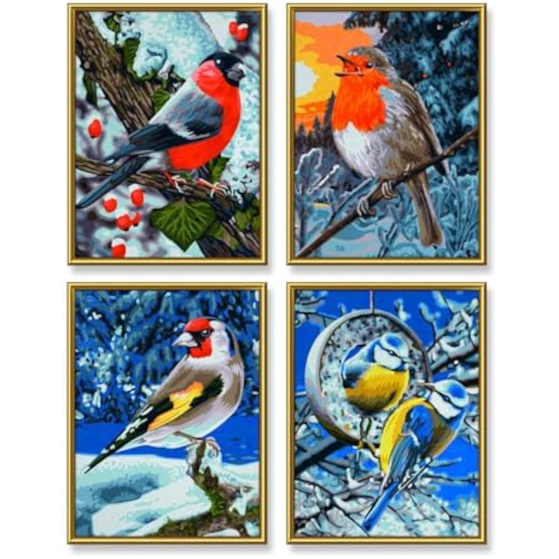 Schipper 609340661 "Winter Birds Quattro Paint By Numbers Board