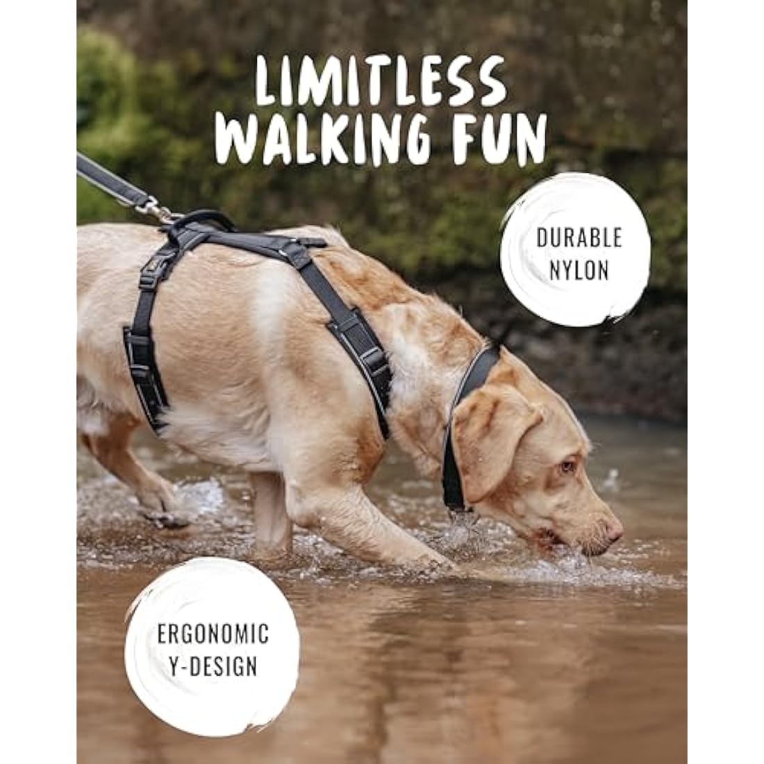 Rudelkönig dog harness Paola - Reflective Chest Harness with Handle - Adjustable large no pull harness for dogs - For very large dogs