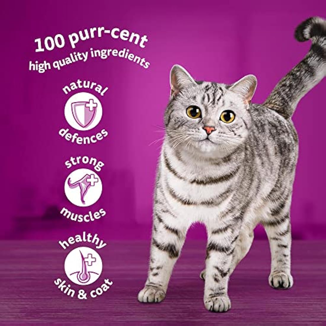 WHISKAS - 7+- Senior Wet Cat Food Pouches - 84 x 85 g - Mixed Selection in Jelly - Bulk Cat Food Megapack - 84 Pouches