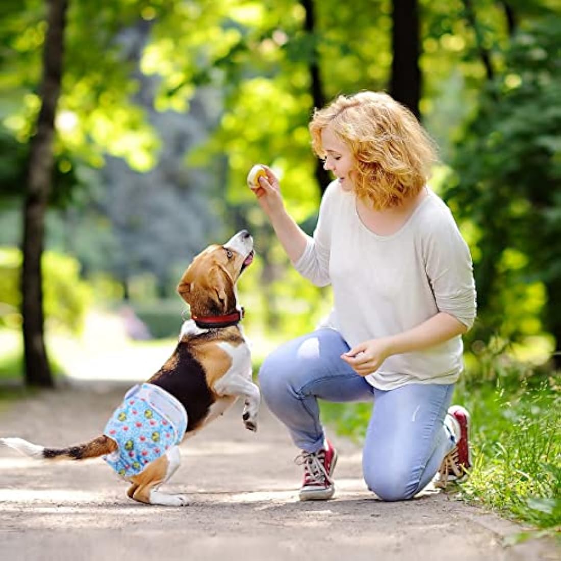 Medo 3 Packs Reusable Dog Nappies, Super Absorbent Washable Dog Diapers Puppy Sanitary Wraps Panties for Female Pet Incontinence and Long Travels 40-50 cm/15.7-19.7 (M), pink+blue+yellow