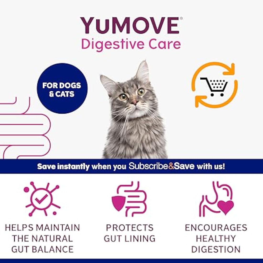 YuMOVE Digestive Care PLUS, Dogs & Cats Pre and Probiotics Supplement for Gut Health, Digestive Support Veterinary Strength with Fast-acting Ingredients, All Ages and Breeds, 60 Sachets