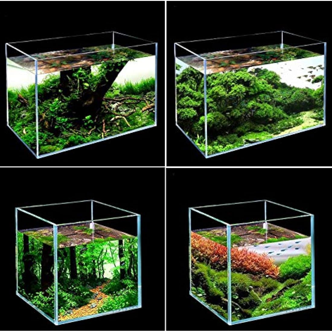 7 Litre Rimless Low Iron Glass Aquarium Tank (7.8" L × 7.8" W × 7.8" H / 20cm x 20cm x 20cm), Thickness Standard Jointed