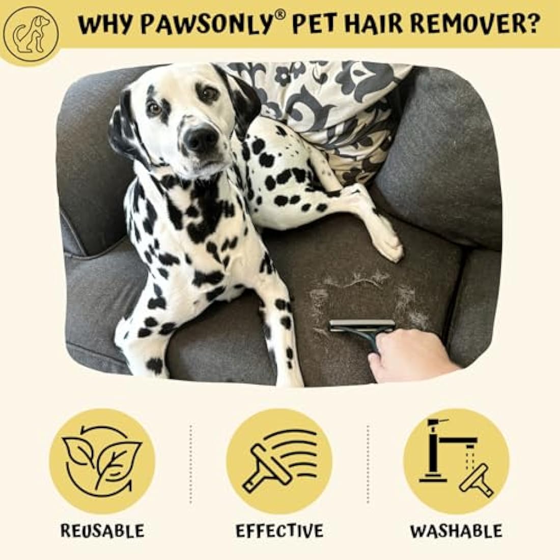 PawsOnly | Pet Hair Remover for Carpet, Furniture, Car, Sofa, Stairs, Clothes | Dog & Cat Fur Scraper Tool | Double Sided Plastic Brush | Reusable & Portable | Handheld Fluff Rake (Orange + Green)
