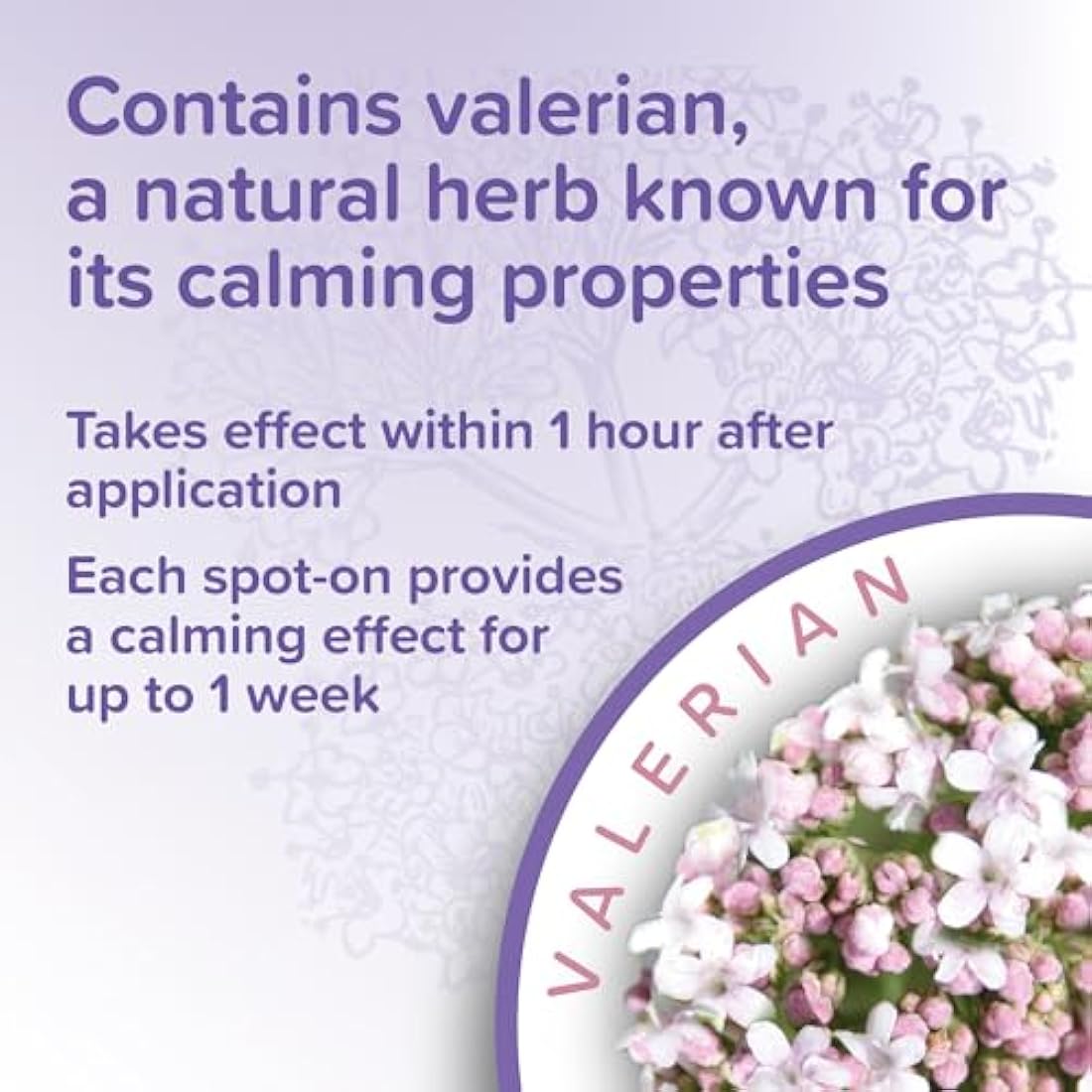 Beaphar - Herbal Calming Spot-On for Cats - Contains Natural Herb Valerian - Promotes Calming During Fireworks, Thunderstorms, Travel & Stressful Situations - 1 Pipette Lasts Up To 1 Week - 3 Pipettes