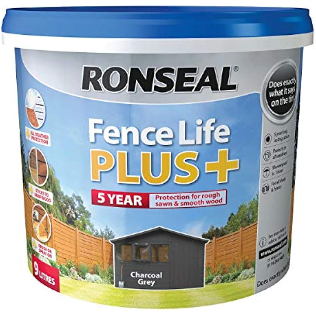 Ronseal 6 Year Anti Mould Paint Matt White 750Ml