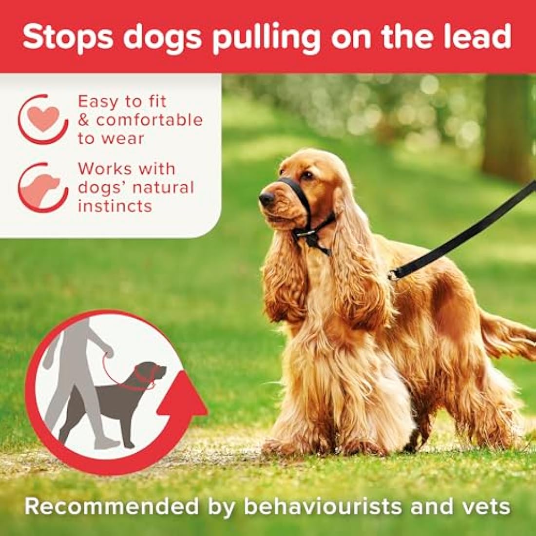 Beaphar | Gentle Leader | Head Collar for Medium Dogs | Stops Pulling On The Lead | Training Aid with Immediate Effect | Endorsed by Behaviourists | Black x 1