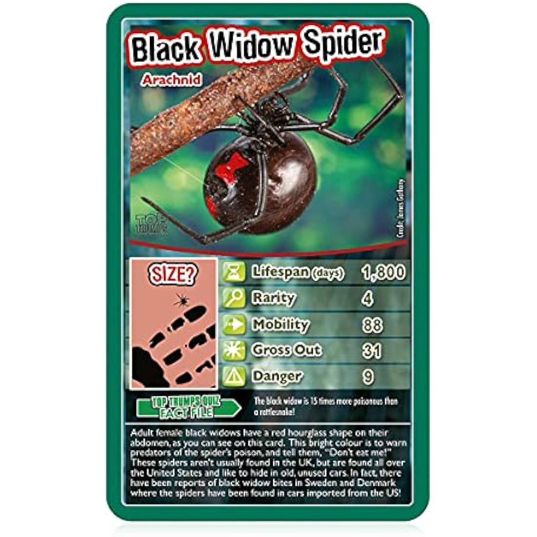 Top Trumps Bugs Classic Card Game, learn facts about the Black Widow, furry Tarantula, Praying Mantis and the Ladybird in this educational packed game, gift and toy for boys and girls aged 6 plus