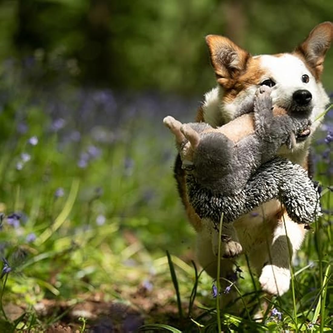 Petface Cyril The Squirrel Plush Dog Toy with Built-In Squeaker (Pack of 1)
