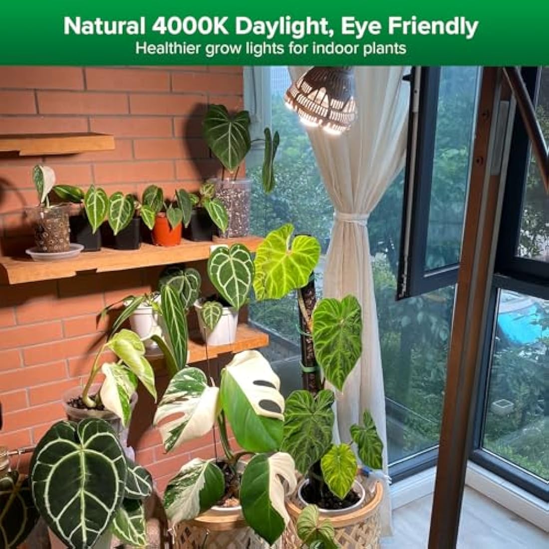 SANSI 24W LED Grow Light for Indoor Plants, 300W Equivalent Full Spectrum E27 Plant Grow Light Bulb for Seedlings Succulents Vegs Flowers (PPF: 40 μmol/s, 60° Beam Angle, Veg Cover: 2x3 Sq Ft)