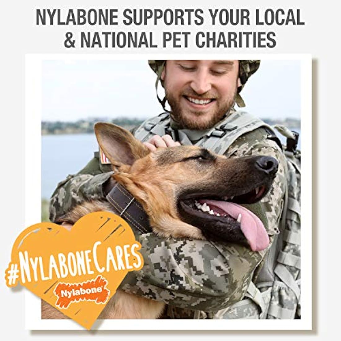 Nylabone Dura Chew Extreme Tough Dog Chew Toy Bone, Chicken Flavour Wishbone, S, for Dogs Up to 11 kg