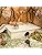 Niteangel Multi-Chamber Hamster House Maze - Multi-Room Hideouts & Tunnel Exploring Toys for Hamster Gerbils Mice Lemmings (6-Room Small)