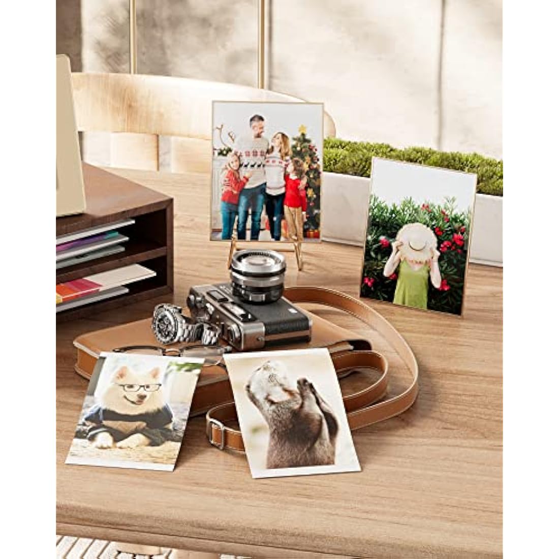 Selphy Photo Paper KP-108IN 3115B001(AA) Compatible with Canon Selphy CP1300 CP1200 CP1500 CP1000 CP910, 6 Photo Printer Cartridges, 216 Sheets Photo Paper