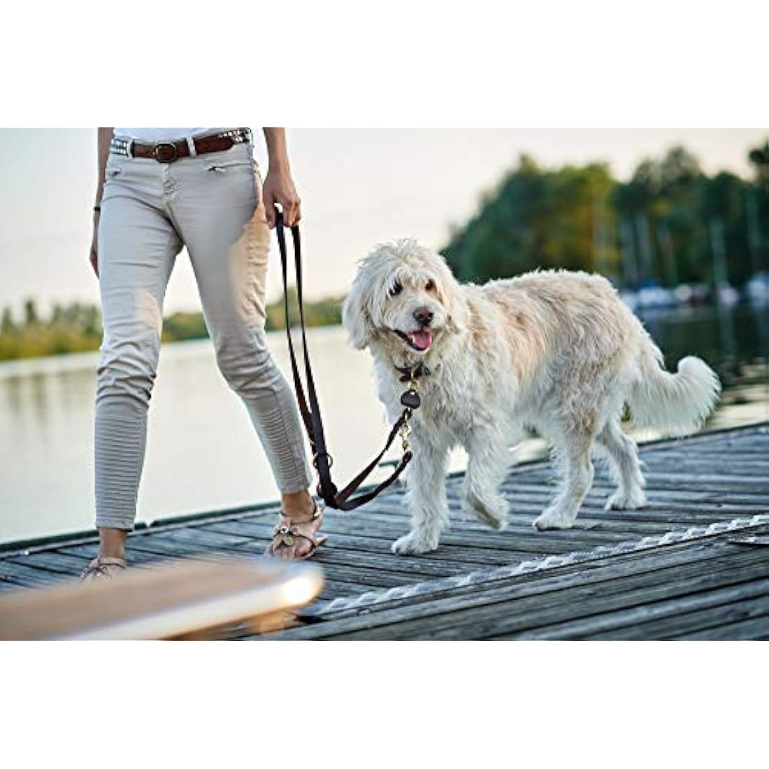 HUNTER Sansibar SOLID Adjustable Leather Dog Lead Braided Durable Elegant 2 x 200 cm Dark Brown