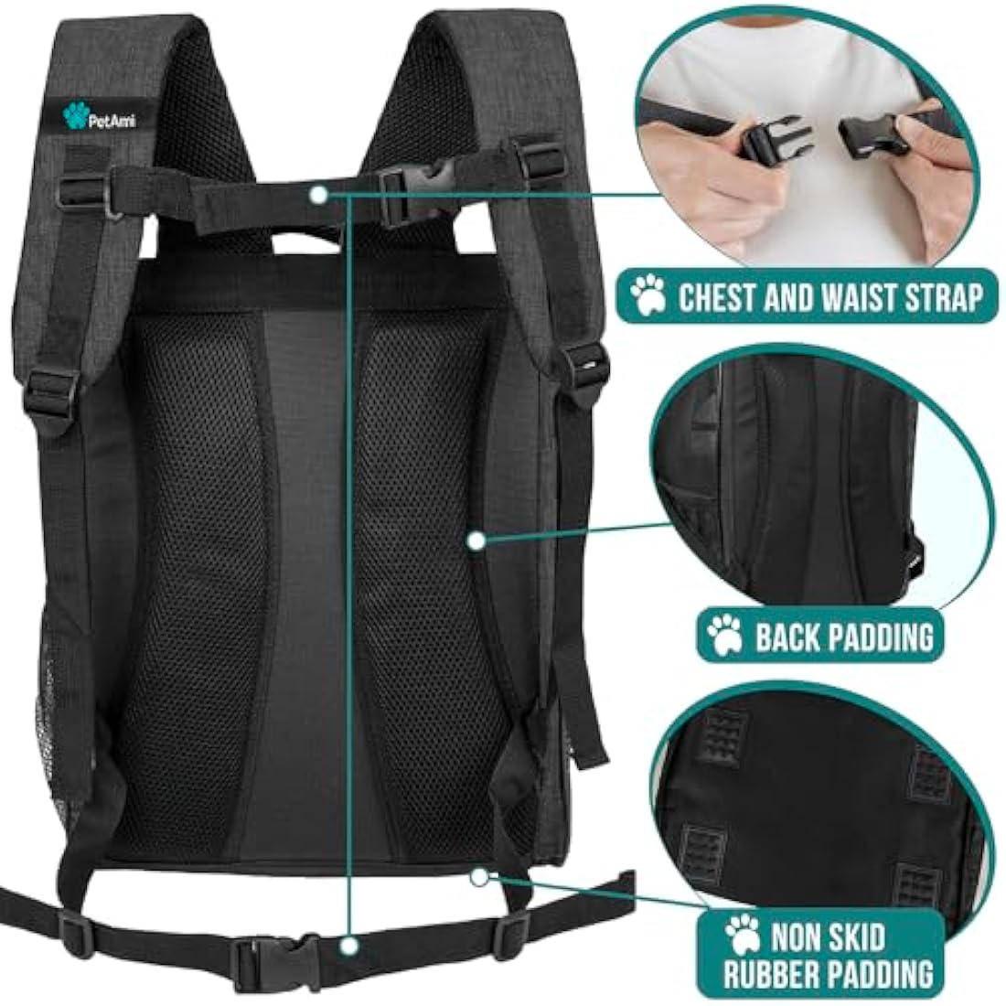 PetAmi Dog Backpack Carrier for Small Large Cat, Pet, Puppies, Ventilated Pet Hiking Backpack Travel Bag, Airline Approved Cat Backpack Carrier, Safety Back Support, Camping Biking Dog Bag, Charcoal