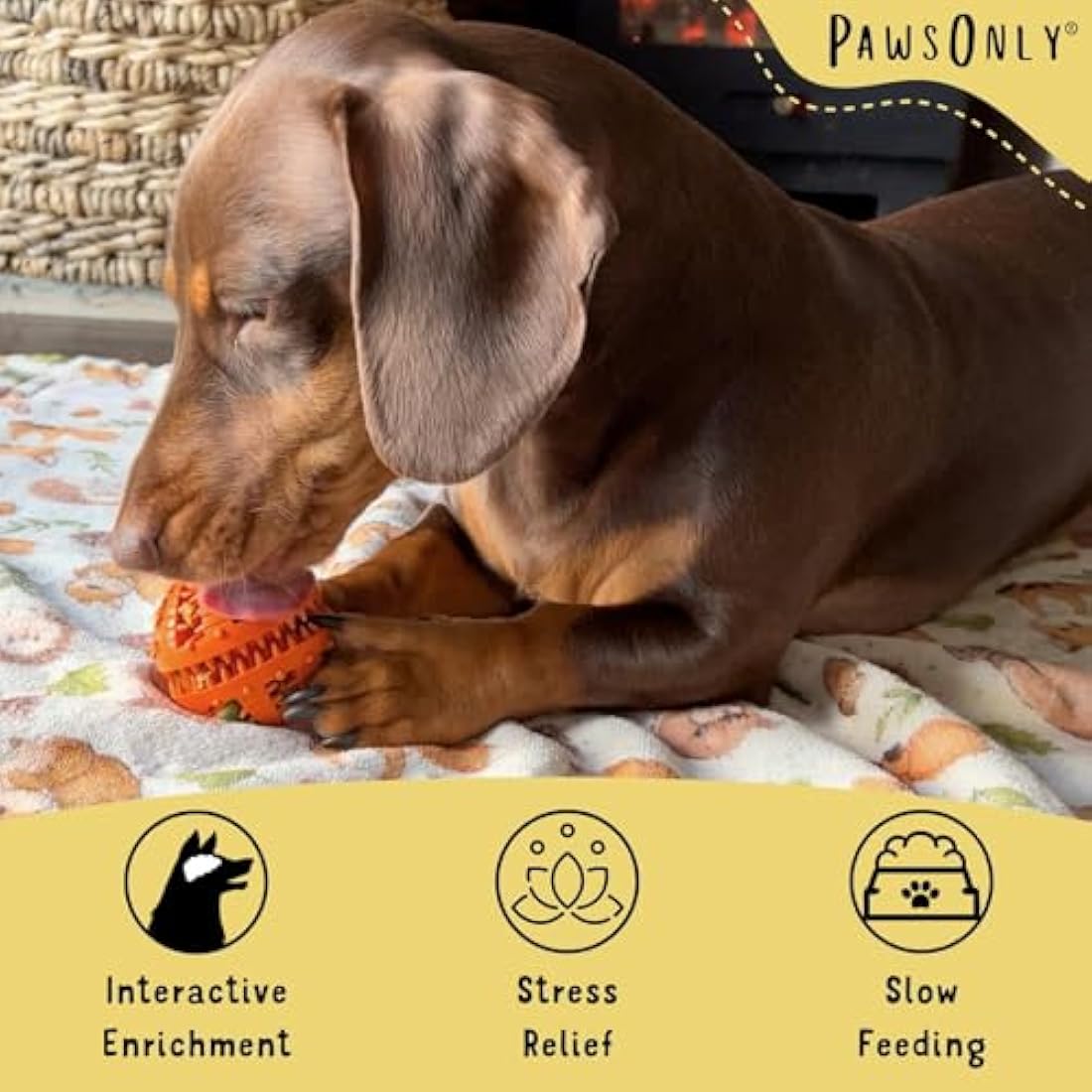 PawsOnly | Interactive Dog Treat Toy for Boredom & Enrichment | Mental Stimulation & Anxiety Relief | Puzzle Feeder | Puppy Brain Training & Entertainment | Keep Them Busy (Small, ORANGE)