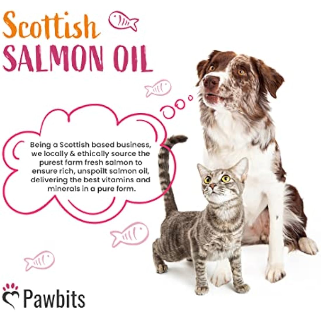 Pawbits 5 Litre Scottish Salmon Oil For Cats,Dogs & Pets - Natural Omega 3+6+9, Healthy Coat & Immune System UK Made Suitable For Horses and Ferrets.