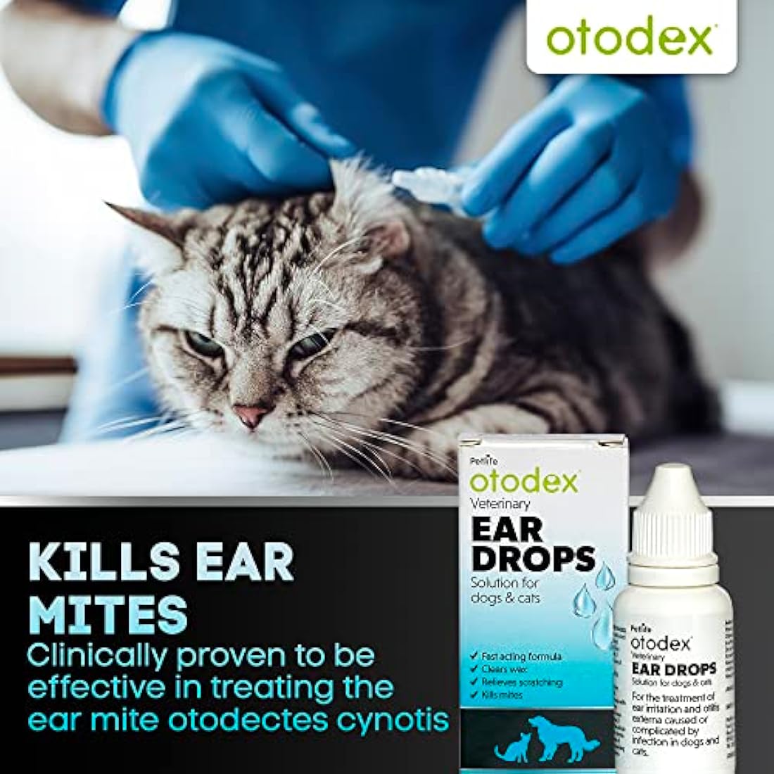 Otodex Petlife Ear Drops, 14 ml