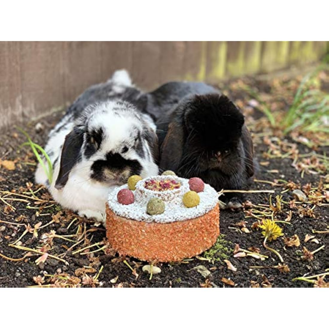 Rosewood Naturals Celebration Cake, Small Animal Treat for Rabbits, Guinea Pigs, Chinchillas, Hamsters, Gerbils, Mice and Rats (Pack of 1)