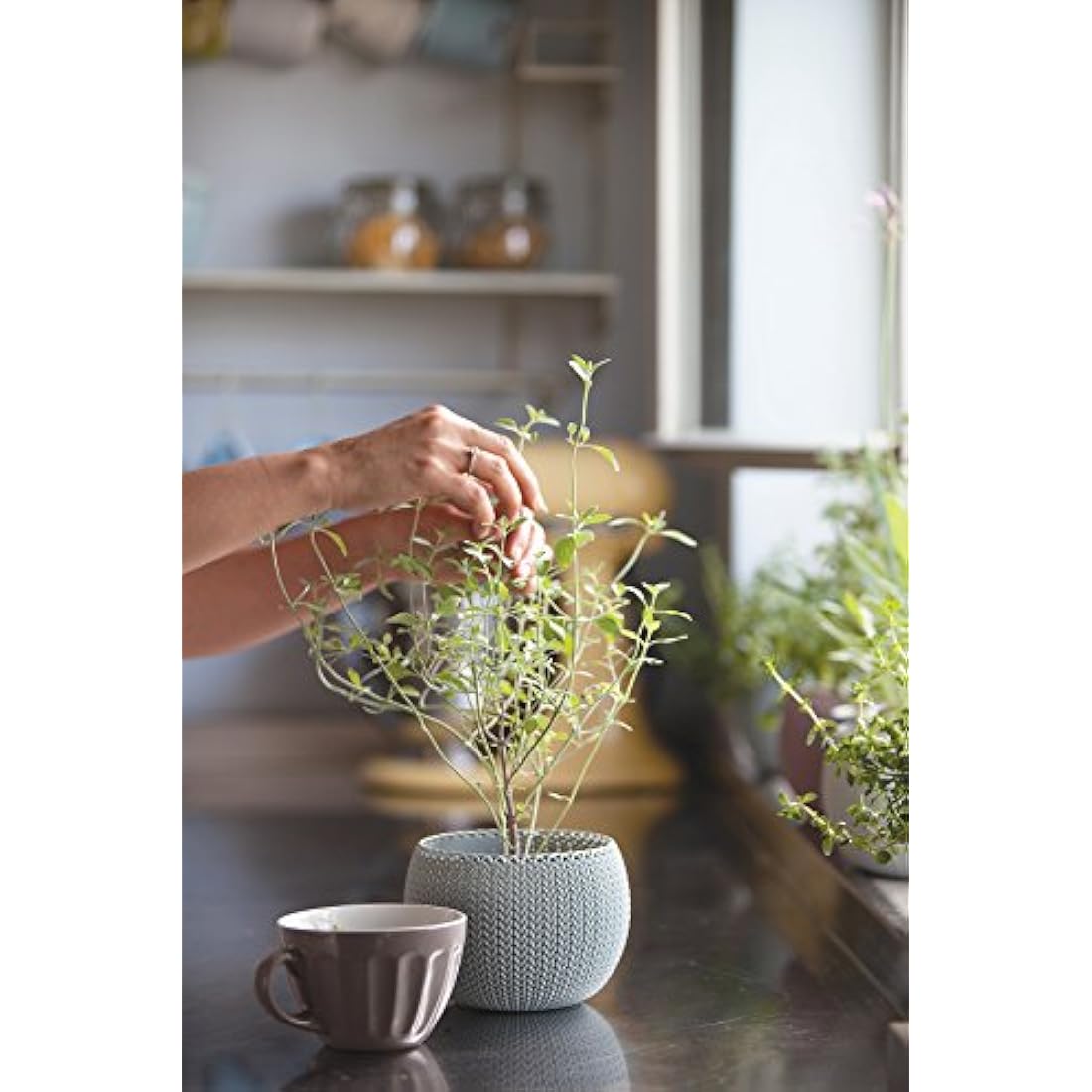 Keter Knit Cozies Indoor/Outdoor Garden Plant Pots Planters - Multi-Colour, Set of 3