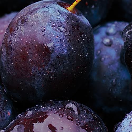 Creme hidratante para mãos Ameixa Negra NativaSpa - 75g