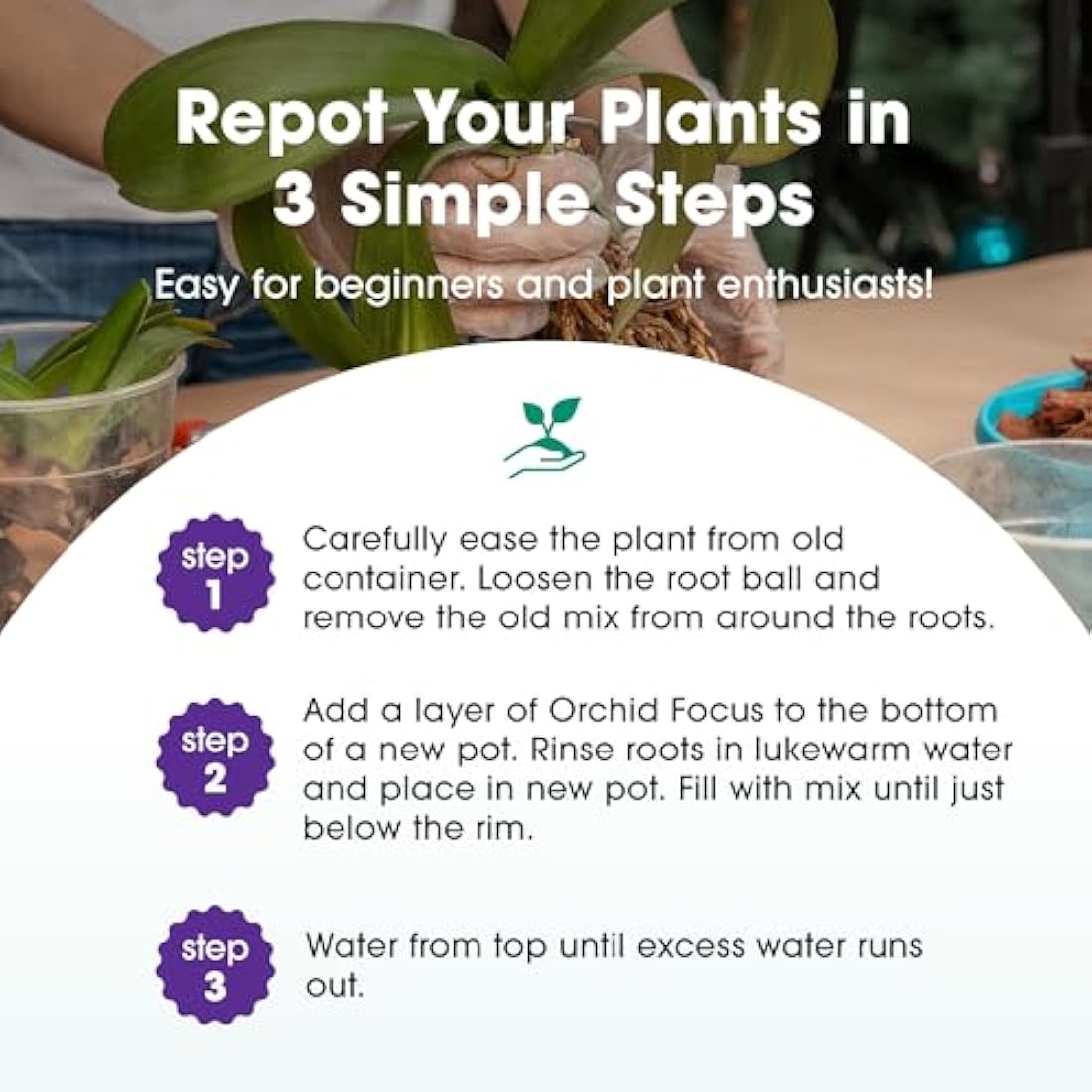 Orchid Focus Repotting Mix, 3L - Growth Technology Orchid Potting Mix for Orchid Plants - Peat-Free Orchid Potting Mix - Orchid Compost For Repotting Pants - Professional Grade Orchid Bark