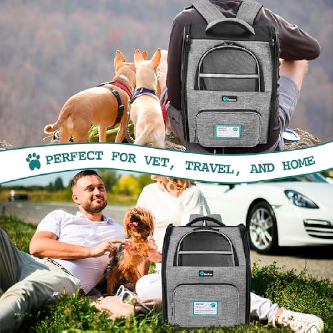 PetAmi Deluxe Pet Carrier Backpack for Small Cats and Dogs, Puppies | Ventilated Design, Two-Sided Entry, Safety Features and Cushion Back Support | for Travel, Hiking, Outdoor Use (Heather Gray)