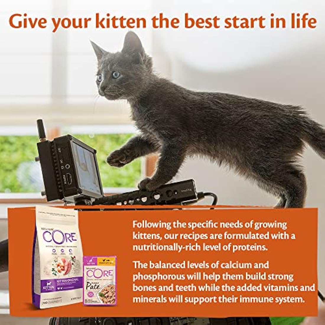 Wellness CORE Purely Paté Kitten, 24 x 85g, Chicken & Tuna, Kitten Food Wet, Smooth Cat Pate, All-Natural, Grain-Free, High Meat Content, Protein-Rich, Limited Ingredient Recipe