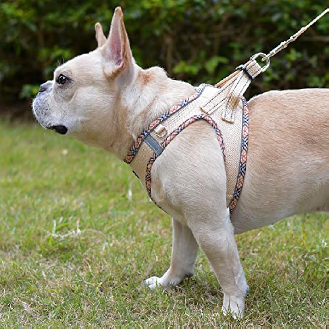 DORAMIO Step-in Dog Harness and Leash Set, Soft Mesh No-Chock Reflective Breathable Easy Walk Lightweight Vest Harnesses with Safety Buckle for Small Dogs, Cats, Puppies (Beige, XL)