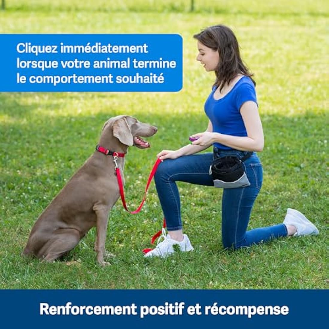 PetSafe Clik-R Training Tool, Training Clicker for Dogs, Reinforces Positive Behaviour, Comfortable Grip, Training Guide Included, Purple