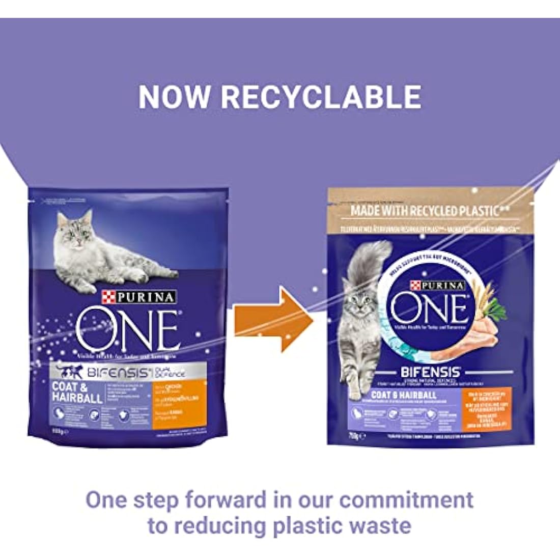 PURINA ONE Coat and Hairball Chicken Dry Cat Food 750g (Pack of 4)