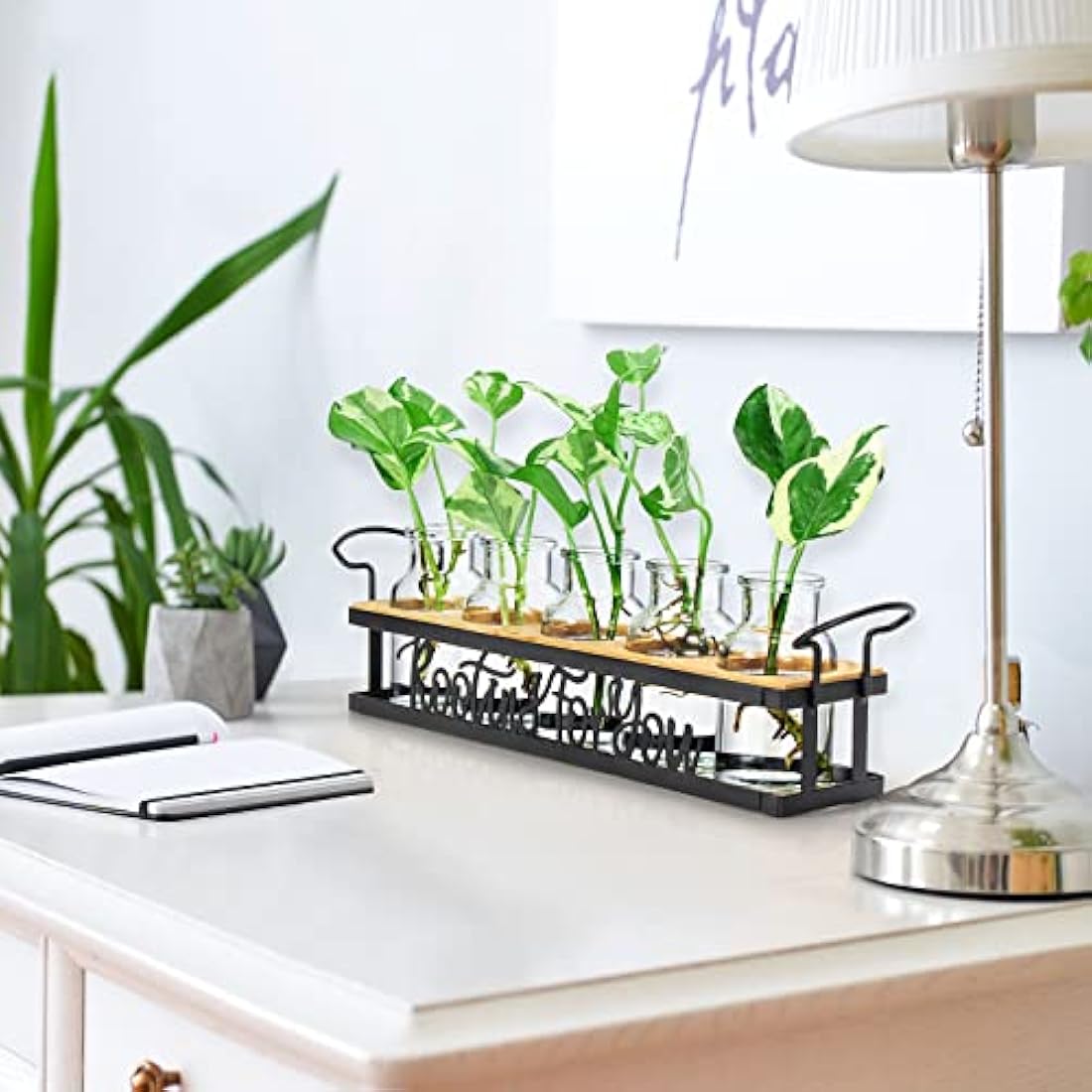 THYGIFTREE Plant Propagation Stations with Metal Stand, Tabletop Plant Terrarium for Propagating Hydroponic, Retro Glass Planter Flower Vase Home Kitchen Office Decor, Plant Lover Gifts