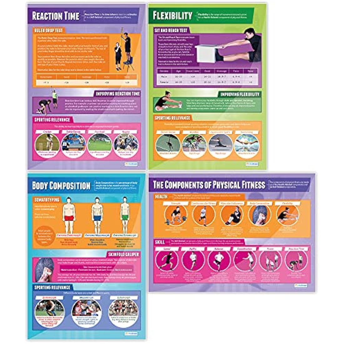Daydream Education Components of Physical Fitness Classroom Posters - Set of 12 - EXTRA LARGE - A1 (850mm x 594mm) - Gloss Paper - PE Secondary School Wall Charts
