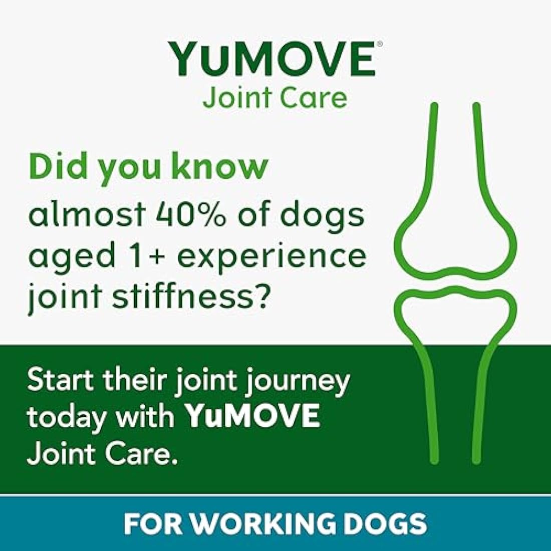 YuMOVE Joint Supplement for Working Dogs, Joint Care, Essential Dog Hip and Joint Aid with Glucosamine, Chondroitin, Green Lipped Mussel, All Ages and Breeds, 480 Tablets