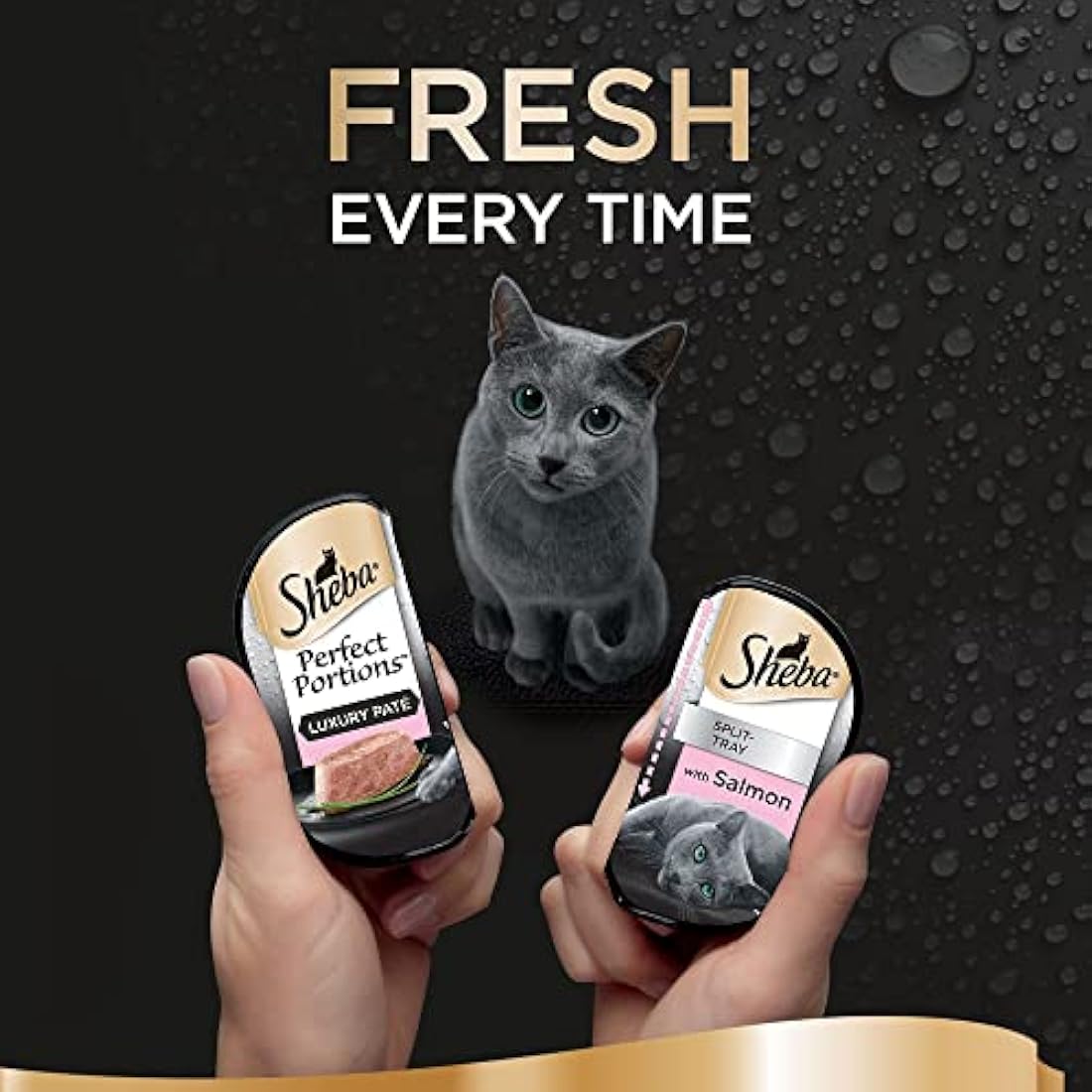 Sheba Perfect Portions - with Salmon in Loaf - 12 x 37, 5 g