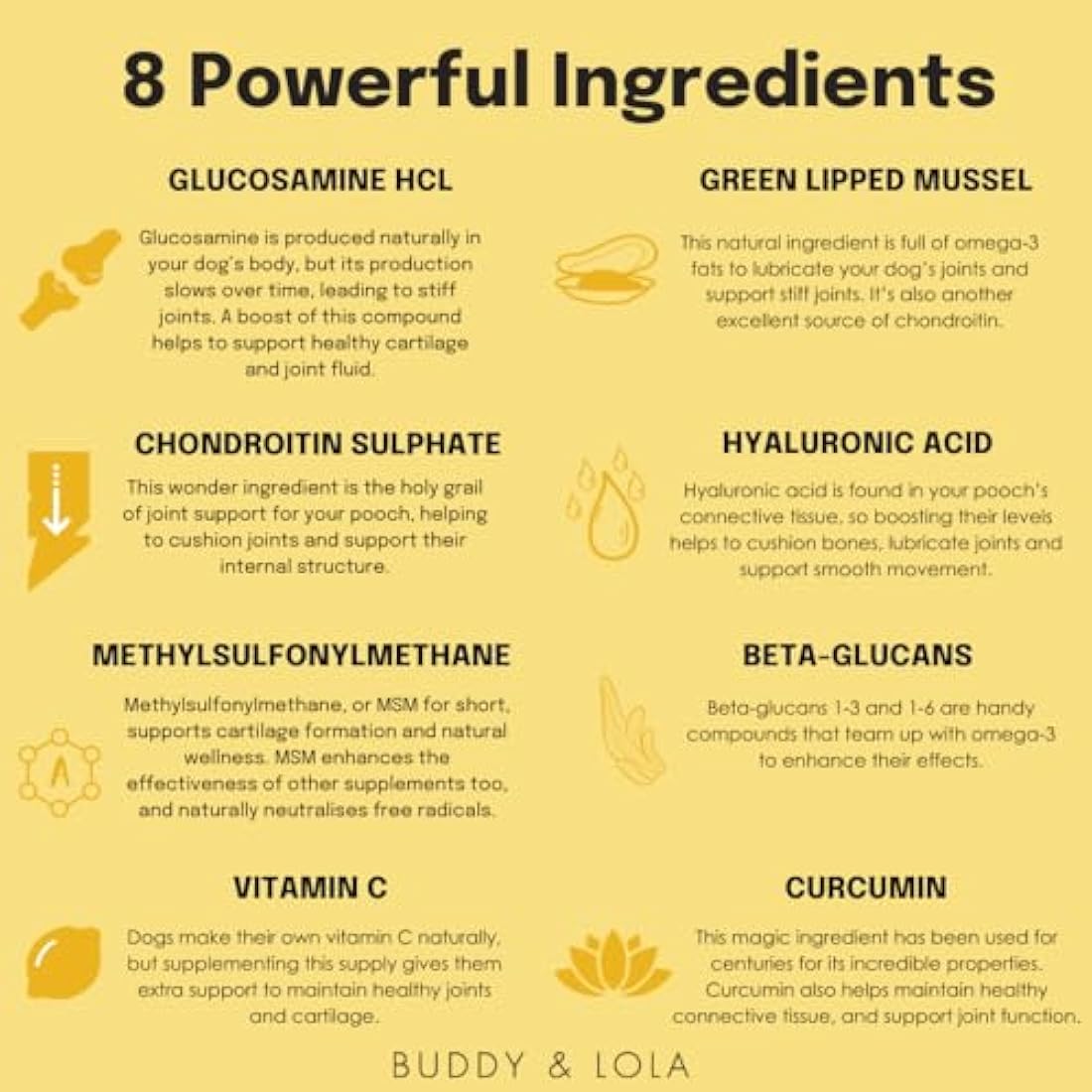 Buddy & Lola Joints and Tummy Bundle for Dogs - High CFU Count, Plant-Based Dog Probiotics for Gut Health - Dog Probiotic Powder with Prebiotics for Skin Health & Joint Support Supplement