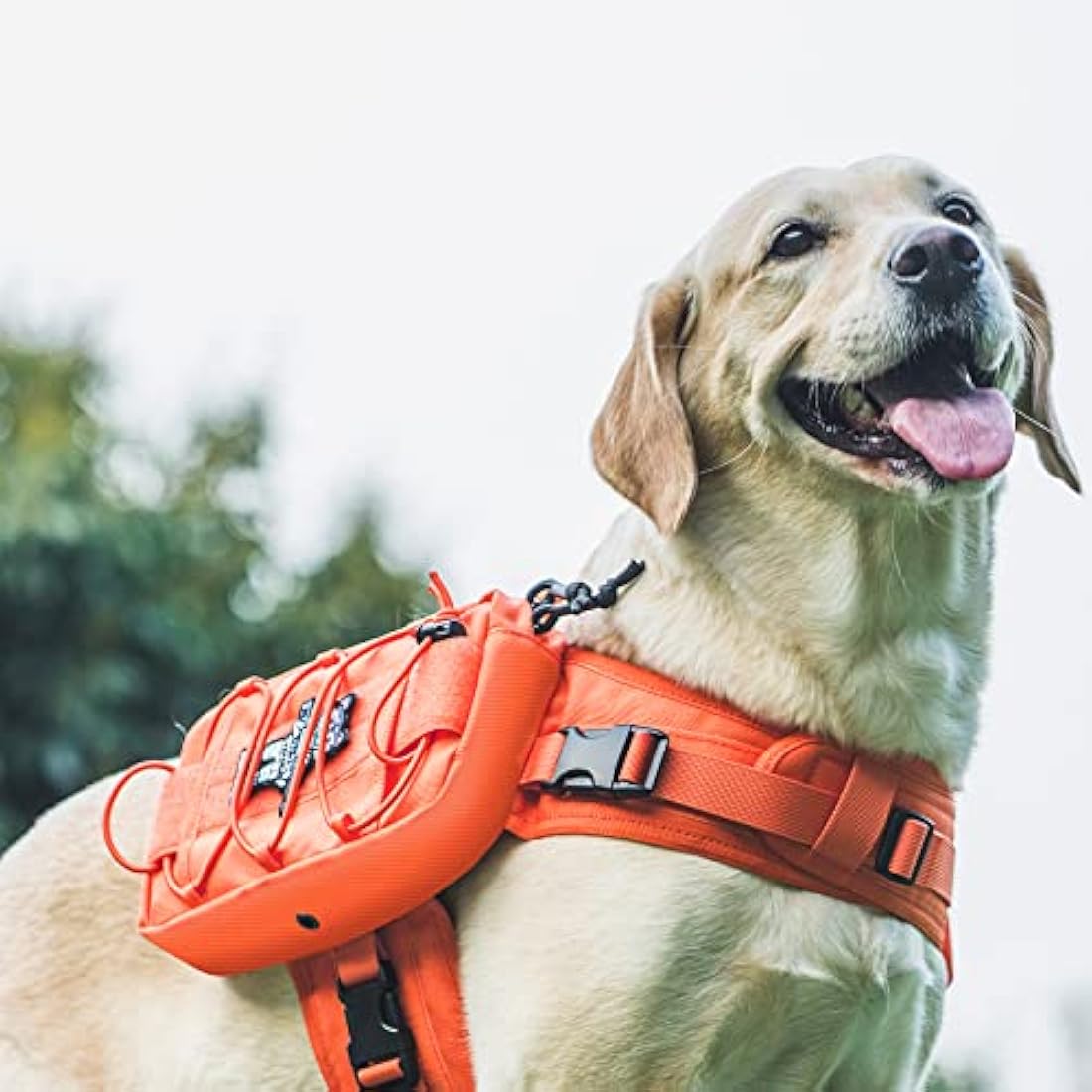 OneTigris Mammoth Dog Backpack 2.0 Version Tear Camping Hiking Dog Backpack for M/L Size Dogs (M, Orange)