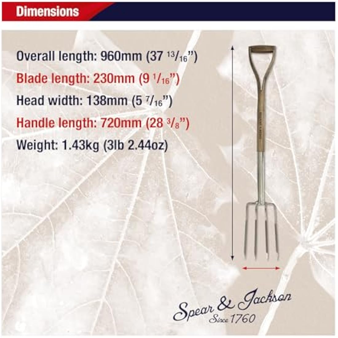 Spear & Jackson 4552BF Traditional Stainless Steel Border Fork
