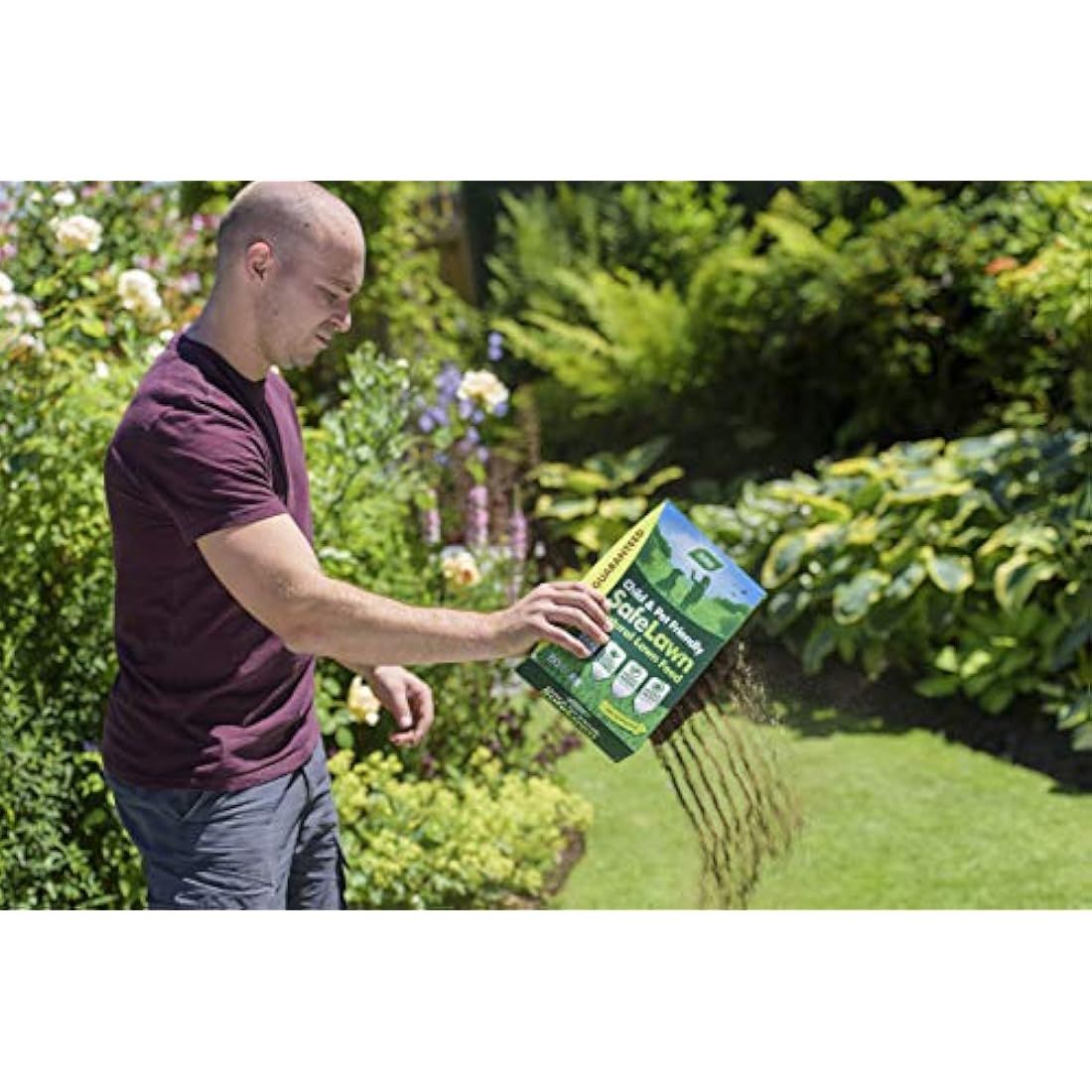Westland 20400352 SafeLawn Child and Pet Friendly Natural Lawn Feed 80 m2, Green, 2.8 kg