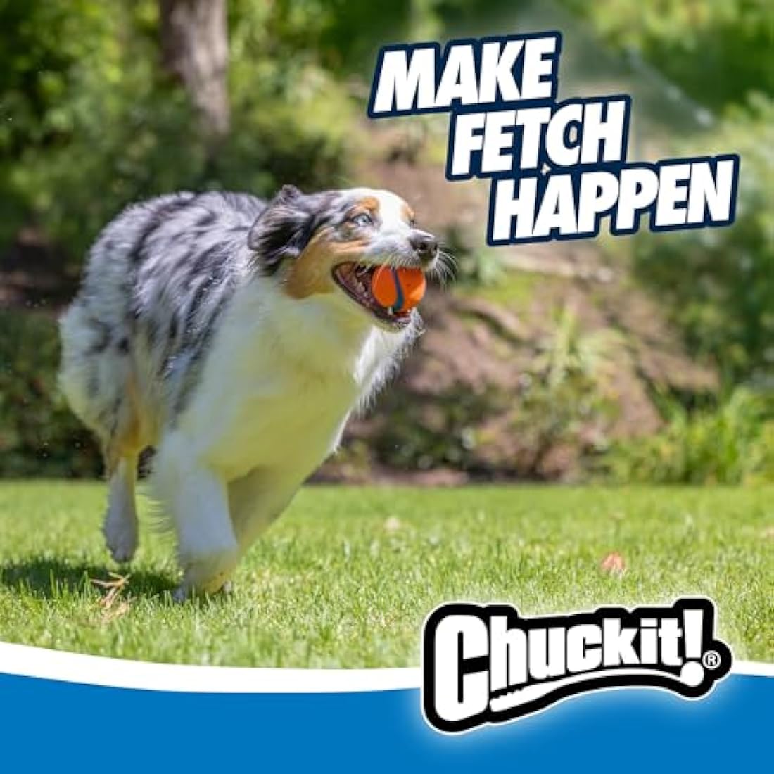 ChuckIt! Ultra Ball Dog Toy, Durable High Bounce Floating Rubber Dog Ball, Launcher Compatible Toy For Dogs, 2 Pack, Medium